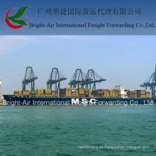 Envío del promotor de la carga de mar del envase de LCL / 20FT 40FT FCL de Guangzhou China a Singapur